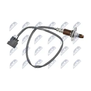 NTY ESL-SB-015