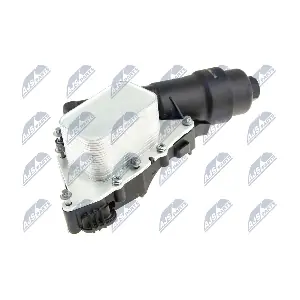 CCL-BM-026 NTY