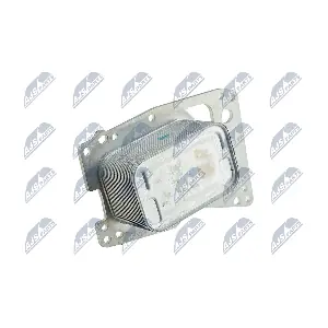 CCL-TY-003 NTY