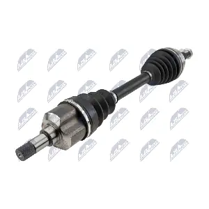 NPW-PE-129 NTY