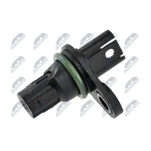 ECP-BM-005 NTY