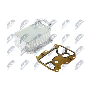 CCL-AU-038 NTY