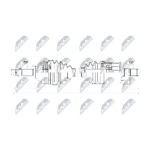 NPW-NS-048 NTY