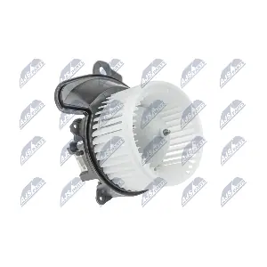 NTY EWN-PL-001