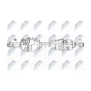NPW-PL-097 NTY