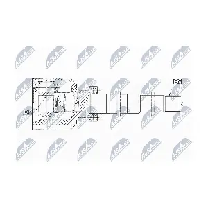 NPW-CT-058 NTY