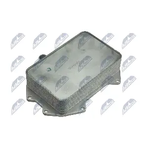 CCL-AU-065 NTY
