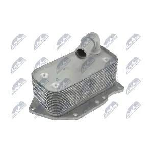 NTY CCL-PL-020