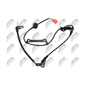 HCA-HD-081 NTY