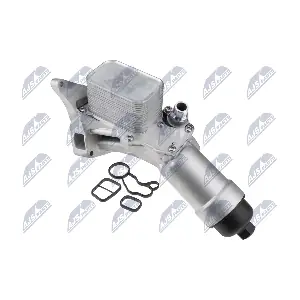 CCL-BM-083 NTY
