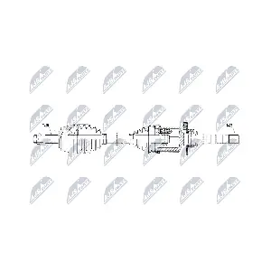 NPW-AR-026 NTY