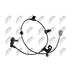 HCA-MS-084 NTY