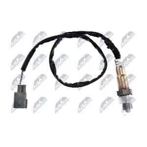 ESL-TY-009 NTY
