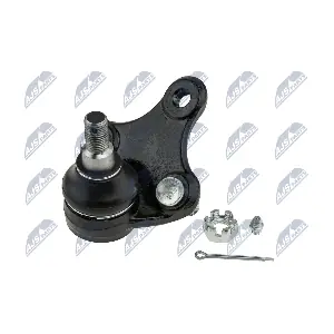 ZSD-TY-020 NTY
