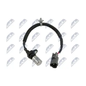 ECP-TY-011 NTY