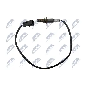 NTY ESL-MS-000
