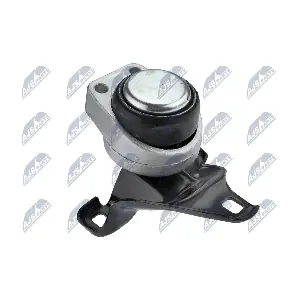 NTY ZPS-FR-011