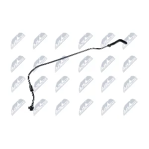 CPP-PL-004 NTY