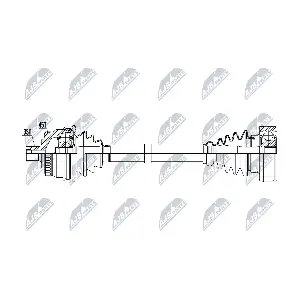 NTY NPW-AU-099
