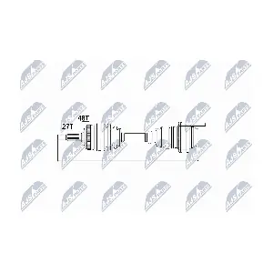NPW-ME-019 NTY