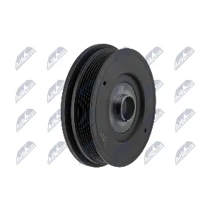NTY RKP-PL-004