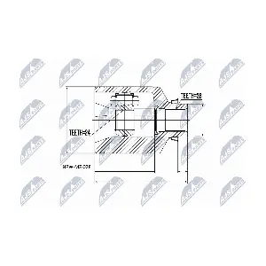NPW-MZ-028 NTY