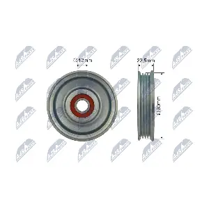 RNK-NS-043 NTY