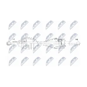 NTY NPW-FR-206