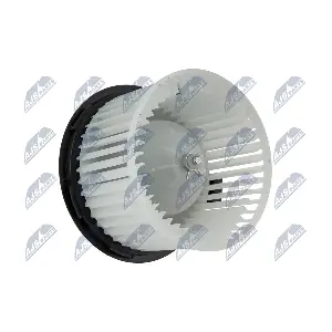 EWN-NS-006 NTY