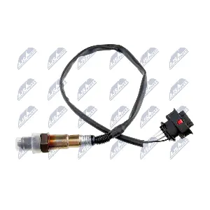 NTY ESL-PL-013