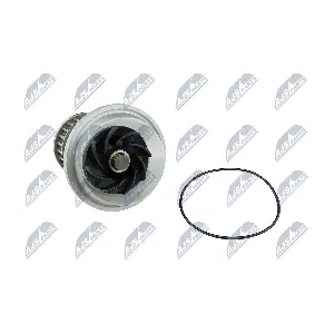NTY CPW-PL-021