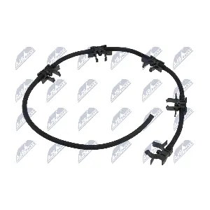 BPP-ME-005 NTY