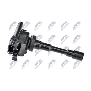 NTY ECZ-MS-005