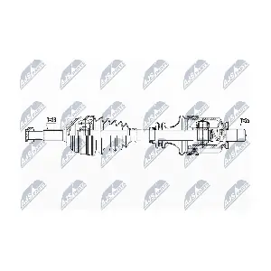 NPW-RE-093 NTY
