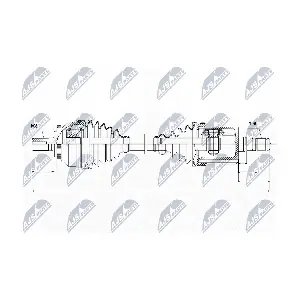 NPW-VV-045 NTY
