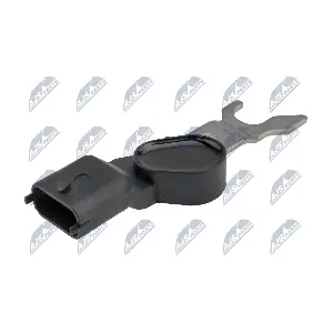 ECP-PL-036 NTY