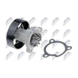 CPW-NS-067 NTY