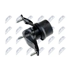 ZPS-TY-006 NTY