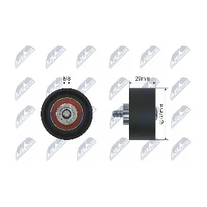NTY RNK-AR-010
