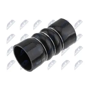 GPP-BM-196 NTY