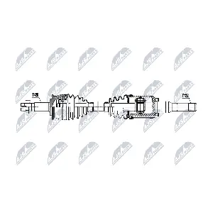 NPW-DW-055 NTY