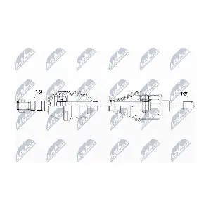 NPW-PL-065 NTY