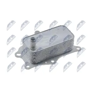 NTY CCL-PL-010