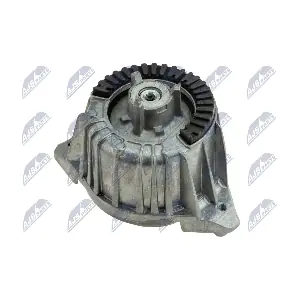 ZPS-ME-017 NTY