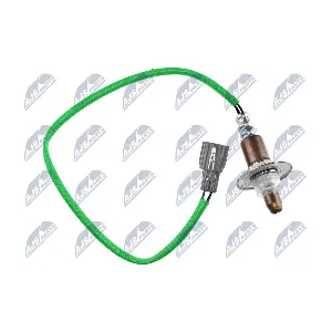 NTY ESL-SB-016