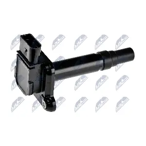 ECZ-AU-005 NTY