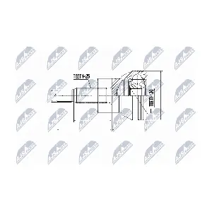 NPZ-MS-008 NTY