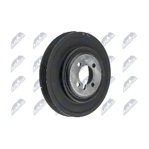 NTY RKP-MS-024