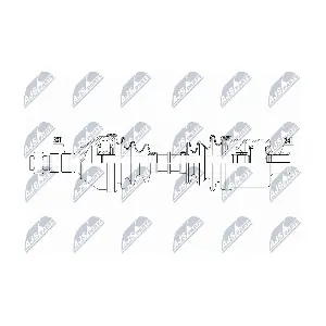 NPW-PL-172 NTY