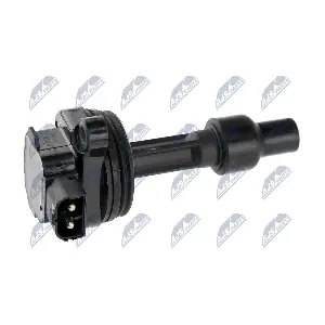 ECZ-VV-005 NTY